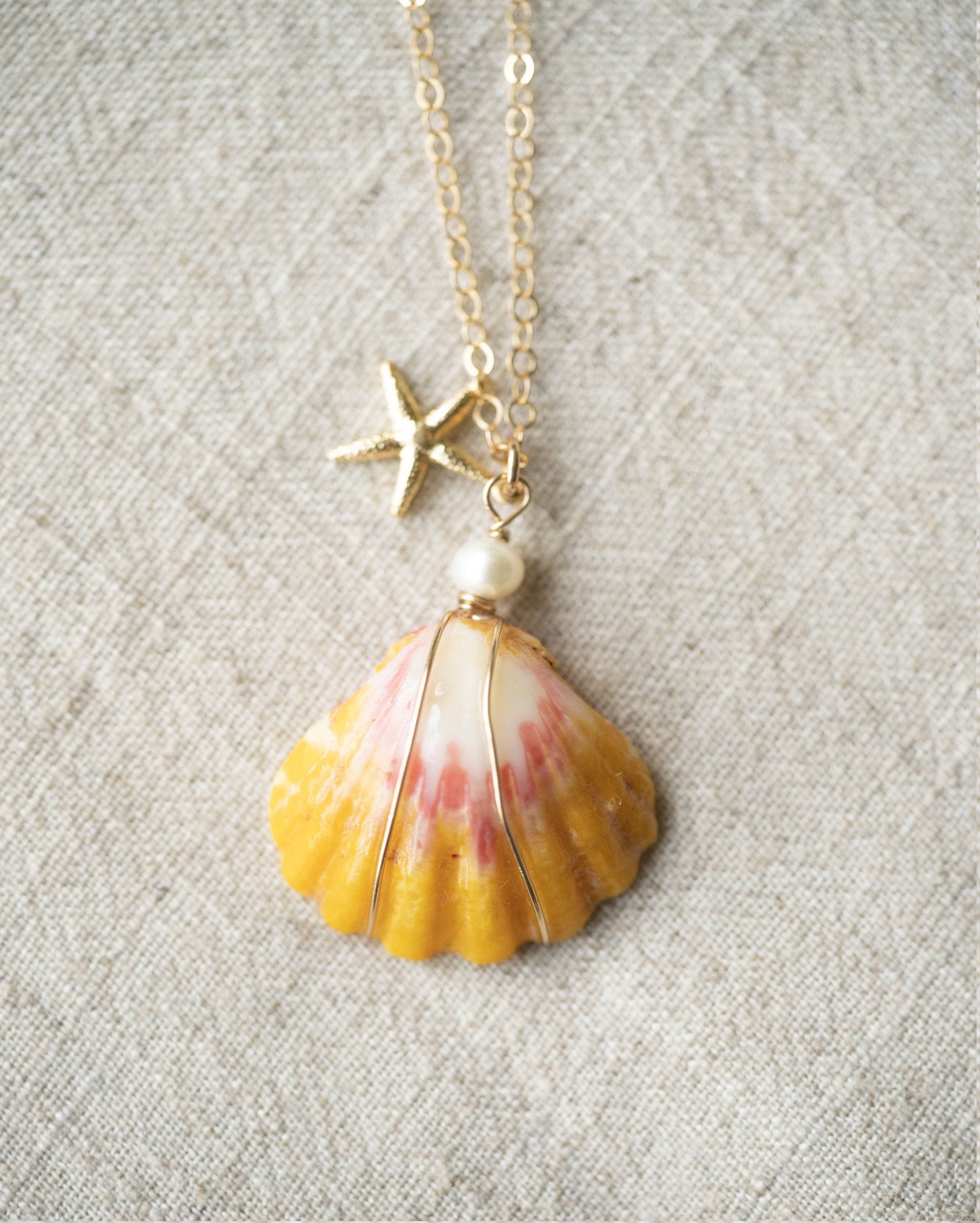 Hawaii Shell Guide